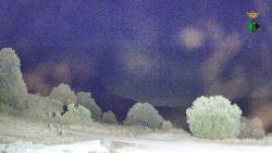 Webcams