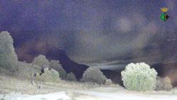 Webcams