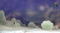 Webcams