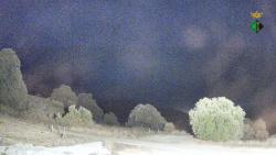 Webcams