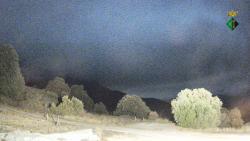 Webcams