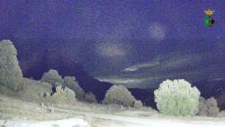 Webcams