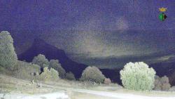 Webcams