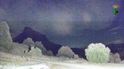 Webcams