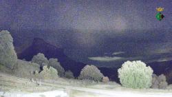 Webcams