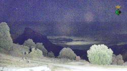 Webcams