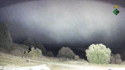 Webcams