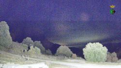 Webcams