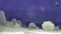 Webcams