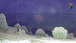 Webcams