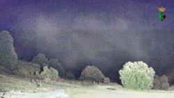 Webcams