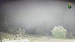 Webcams