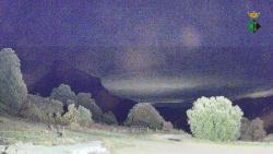 Webcams