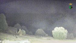 Webcams