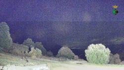Webcams