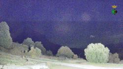 Webcams