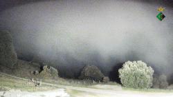 Webcams