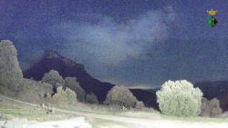 Webcams