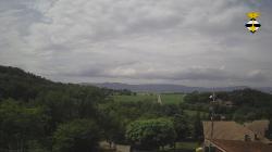 Webcams