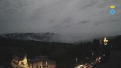 Webcams
