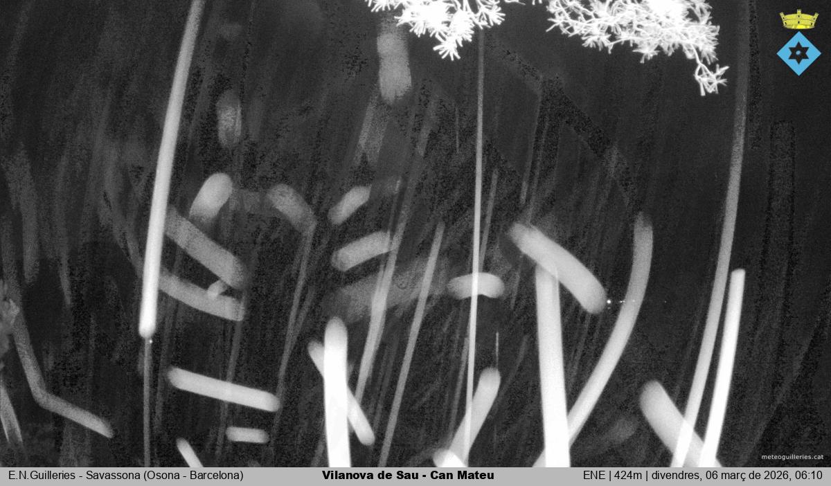 Vilanova de Sau - Can Mateu