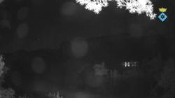 Webcams
