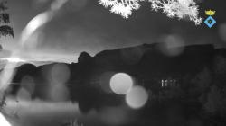 Webcams