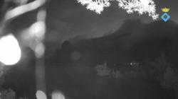 Webcams