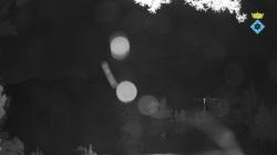 Webcams