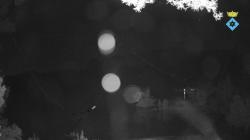 Webcams