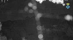 Webcams