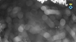 Webcams