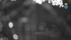 Webcams