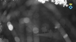 Webcams