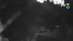 Webcams