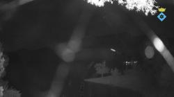 Webcams