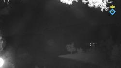 Webcams