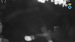 Webcams