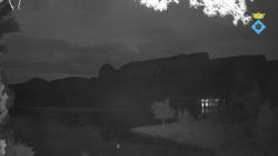 Webcams