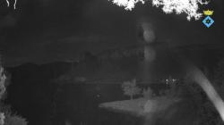 Webcams