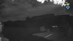 Webcams