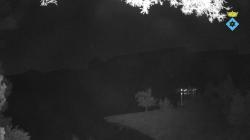 Webcams