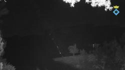 Webcams