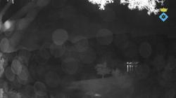 Webcams