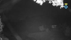 Webcams
