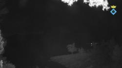 Webcams