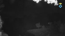 Webcams
