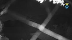 Webcams