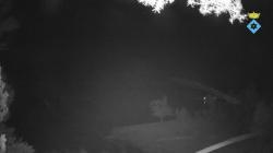 Webcams