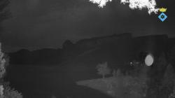 Webcams